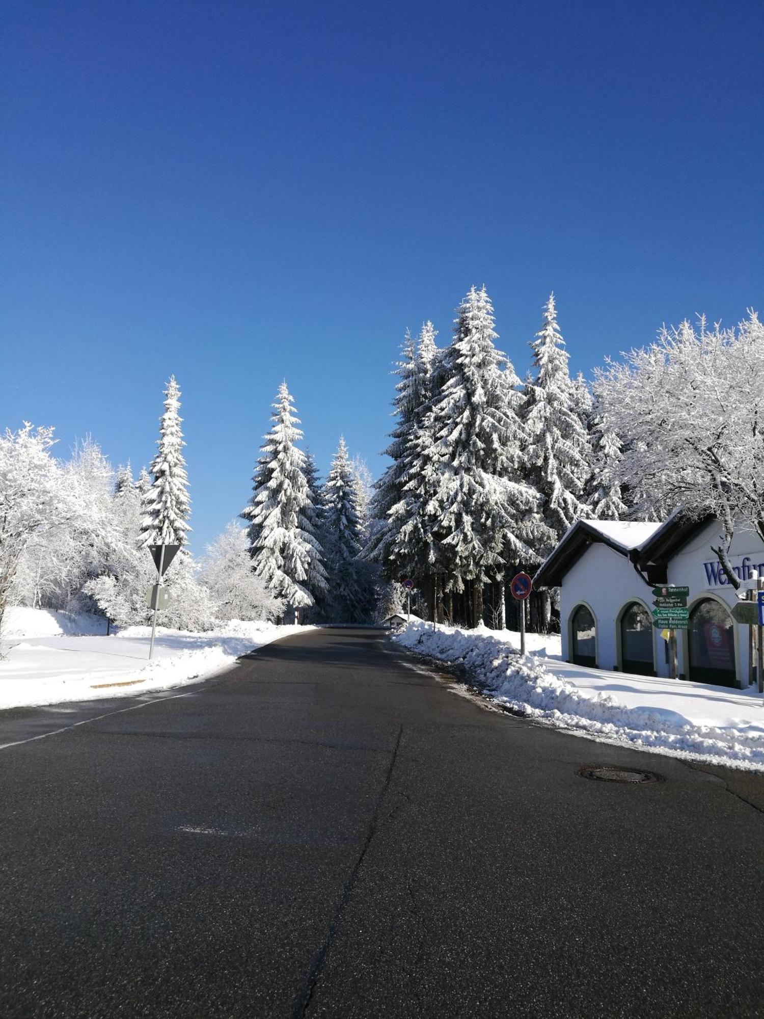 Top Appartment Mit Weitblick Und Late Check-Out Inklusive Aktivcard Sankt Englmar Esterno foto